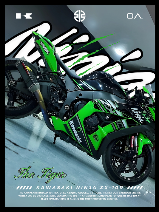 Kawasaki Ninja ZX-10R The Tiger