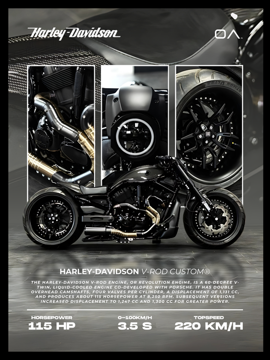 Harley-Davidson V-Rod Custom®